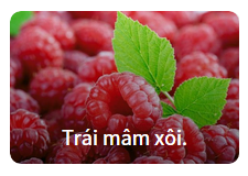 nhin-hinh-doan-ten-trai-cay-hoc-tu-vung-tieng-anh-chu-de-trai-cay