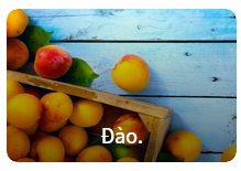 Nhìn hình đoán tên trái cây - Học từ vựng Tiếng Anh chủ đề trái cây