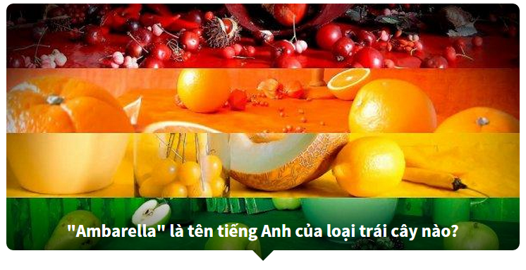 Nhìn hình đoán tên trái cây - Học từ vựng Tiếng Anh chủ đề trái cây