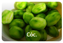 Nhìn hình đoán tên trái cây - Học từ vựng Tiếng Anh chủ đề trái cây