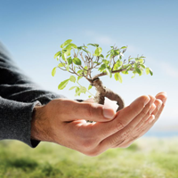 Từ vựng tiếng Anh về chủ đề môi trường