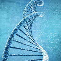 Đề kiểm tra học kì 1 môn Sinh học lớp 8 năm học 2013 - 2014 huyện Long Mỹ, Hậu Giang