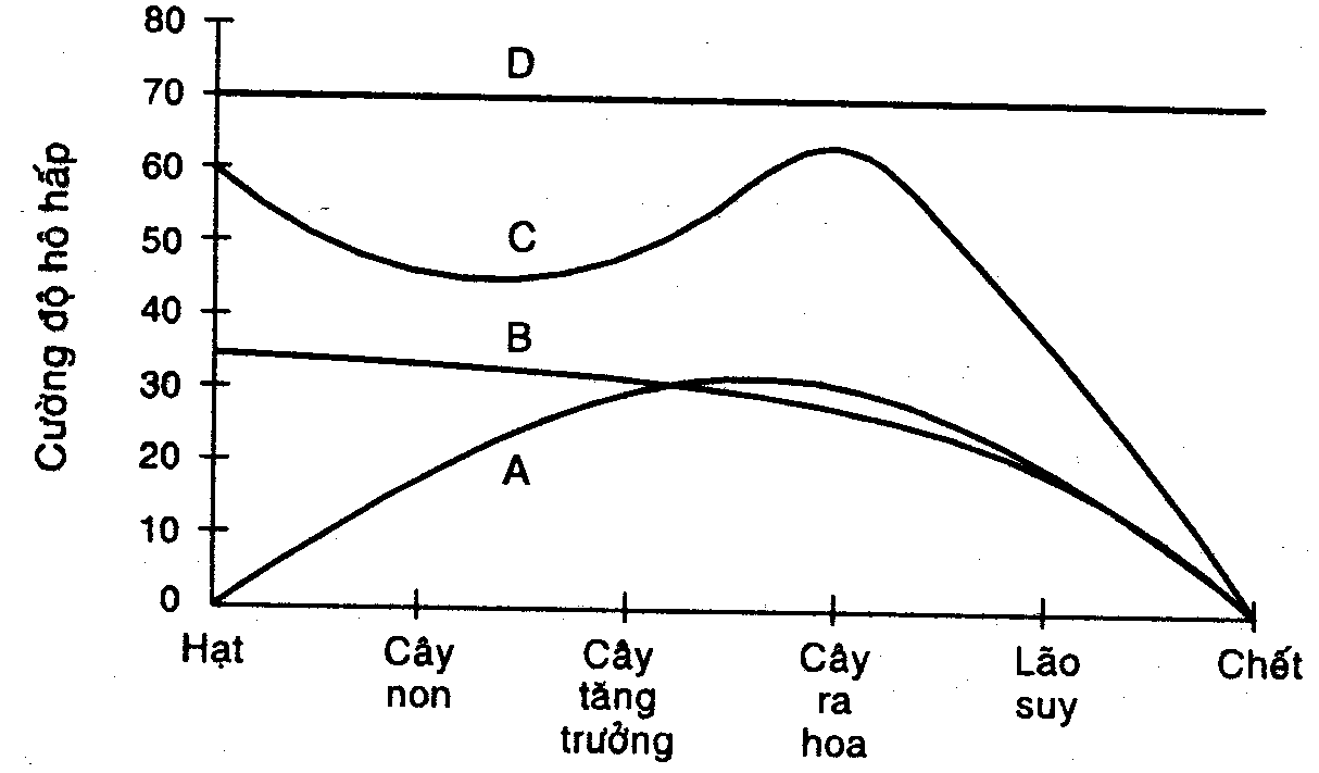 Đề thi hsg lớp 11 môn sinh