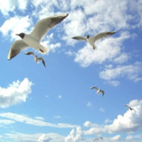 Đề kiểm tra 15 phút môn Ngữ Văn lớp 11 - "Bài ca ngất ngưởng"