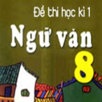 Đề kiểm tra học kì 1 môn Ngữ Văn lớp 8 năm 2009 - 2010 Trường THCS Phan Chu Trinh