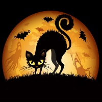 Trắc nghiệm đo độ hiểu biết về ngày Halloween