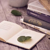 Đề kiểm tra học kì 1 môn Ngữ văn lớp 9 năm học 2014 - 2015 quận Tân Bình, TP. Hồ Chí Minh