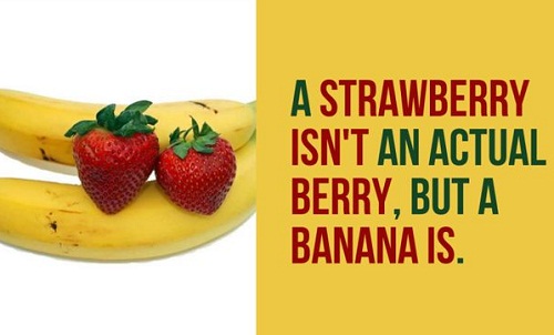 Từ vựng Tiếng Anh