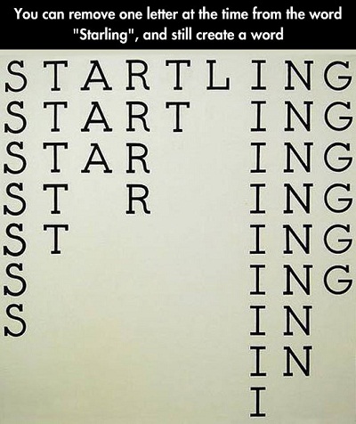 Từ vựng Tiếng Anh