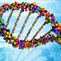 Đề thi HSG môn Sinh học lớp 9 huyện Cam Lộ, Quảng Trị năm 2015 - 2016