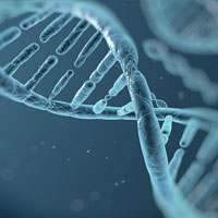 Đề kiểm tra giữa học kì 1 môn Sinh học lớp 10 năm học 2015 - 2016 trường THPT Thống Nhất A, Đồng Nai