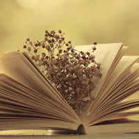 Đề thi học sinh giỏi môn Ngữ văn lớp 9 năm học 2015 - 2016 trường THCS Đỗ Động, Hà Nội