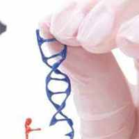 Phương pháp giải bài tập di truyền