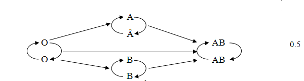 Đáp án môn Sinh học lớp 8