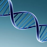 Đề kiểm tra giữa học kì 1 môn Sinh học lớp 12 năm học 2015 - 2016 trường THPT Thống Nhất A, Đồng Nai