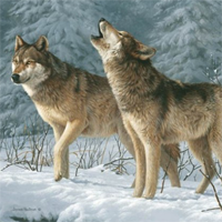 Bài văn mẫu lớp 9: Phân tích hình ảnh Con chó Bấc trong truyện ngắn Tiếng gọi nơi hoang dã của Giắc Lân-đơn