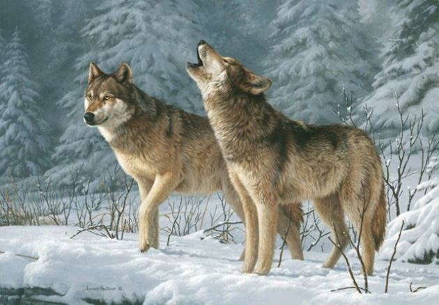 Phân tích đoạn trích trong tiếng gọi nơi hoang dã Phân tích đoạn trích trong tiếng gọi nơi hoang dã