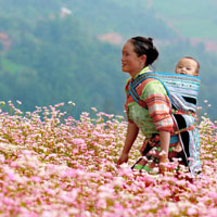 Hình ảnh người mẹ trong bài thơ Khúc hát ru những em bé lớn trên lưng mẹ của Nguyễn Khoa Điềm