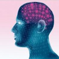 Những câu hỏi IQ khiến bạn phải điên đầu