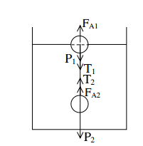 Đáp án môn vật lý lớp 8