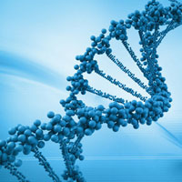 Đề kiểm tra học kì 1 môn Sinh học lớp 10 năm học 2014 - 2015 trường THPT Châu Thành 1, Đồng Tháp