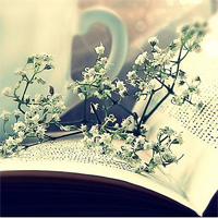 Đề kiểm tra học kì I môn Ngữ văn lớp 7 huyện Việt Yên, Bắc Giang năm 2014 - 2015