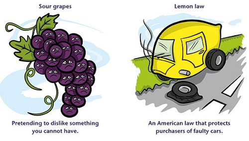 8 cụm từ dùng đồ ăn để tả người Một số cụm từ thú vị trong tiếng Anh