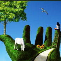 Đề kiểm tra học kì 1 môn Sinh học lớp 11 năm học 2014 - 2015 trường THPT Châu Thành 1, Đồng Tháp