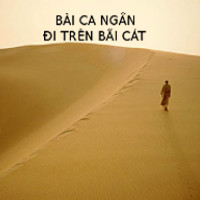 Trắc nghiệm Ngữ Văn lớp 11 - "Bài ca ngắn đi trên bãi cát"