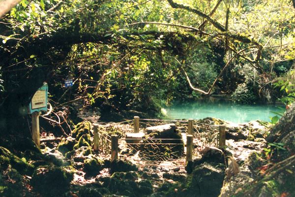 Phân tích bài thơ Tức cảnh Pác Bó