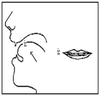 Pronunciation- Short vowel /ɪ/ and long vowel /i:/