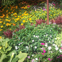 Giáo án Sinh học 6 bài Tổng kết về cây có hoa