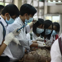 Câu hỏi trắc nghiệm và đáp án môn Giải phẫu