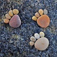 Giáo án mầm non đề tài: Dấu chân kì lạ