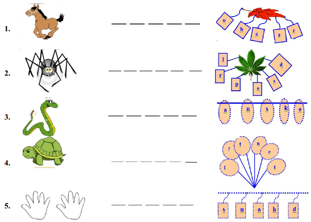 Đề thi Tiếng Anh lớp 2