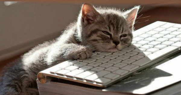 Trắc nghiệm: Bạn là người tò mò hay thờ ơ?