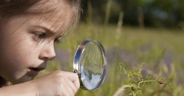 Trắc nghiệm: Bạn là người tò mò hay thờ ơ?