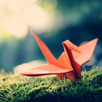 Chuỗi thói quen bóc trần lớp mặt nạ trong tính cách của bạn