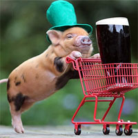 Giáo án mầm non đề tài: Heo con đãi tiệc