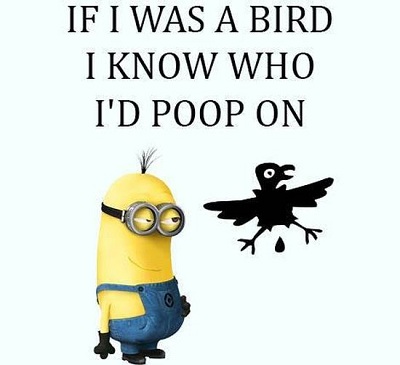 Những câu tiếng Anh hài hước theo phong cách Minions Hài hước với những câu nói của Minions