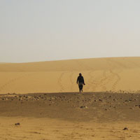 Phân tích tác phẩm Bài thơ ngắn đi trên bãi cát của Cao Bá Quát