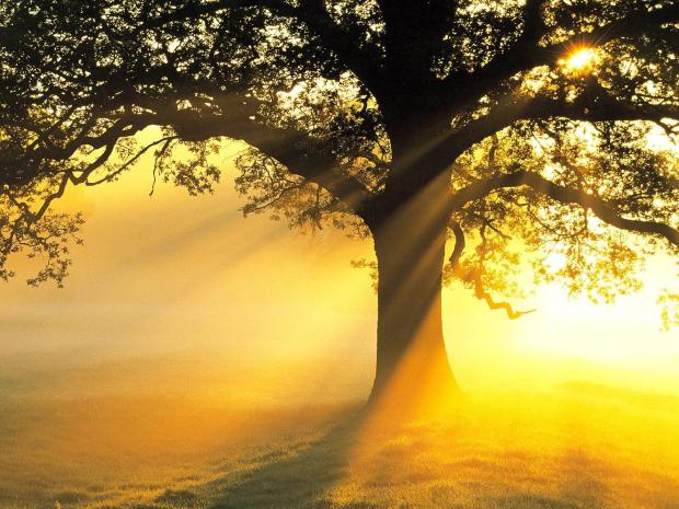 Phân tích bài thơ từ ấy Phân tích bài thơ từ ấy