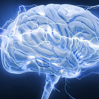 Não bộ của bạn có khả năng phản ứng nhanh nhạy không?