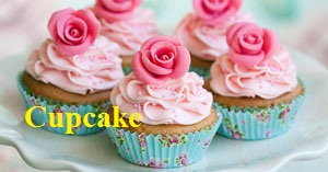 Những biểu tượng trong ngày Noel - Học từ vựng Tiếng Anh chủ đề Noel