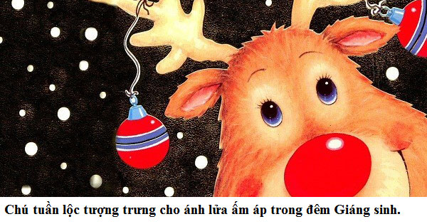Trắc nghiệm vui: Truyền thống đón Giáng sinh ở Anh