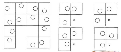Rèn luyện tư duy logic với 10 câu hỏi IQ toán học