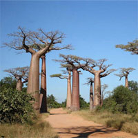 Giáo án Địa lý 7 bài 34