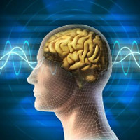 Hại não với 10 câu hỏi thử thách vốn kiến thức địa lí của bạn