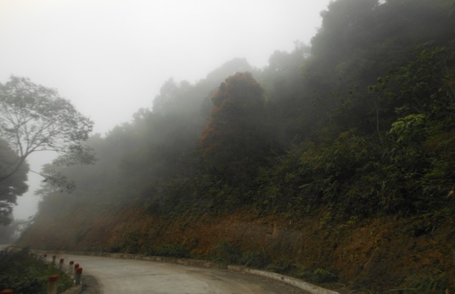 Phân tích bài thơ Đi đường