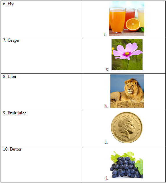 Đề thi IOE Tiếng Anh lớp 5 vòng 1 năm học 2015- 2016